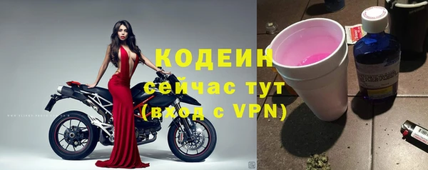 ГАЛЛЮЦИНОГЕННЫЕ ГРИБЫ Баксан