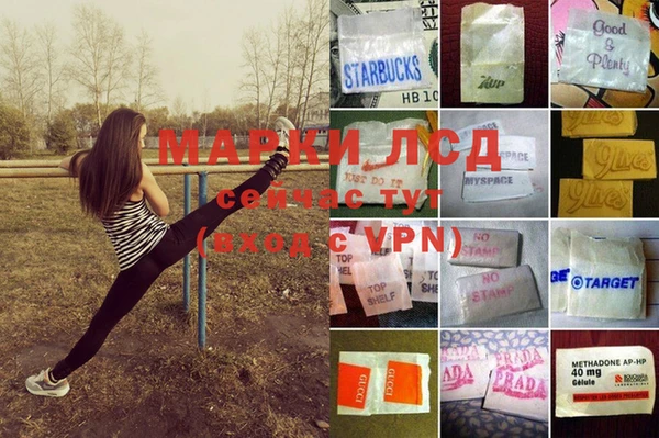 ГАЛЛЮЦИНОГЕННЫЕ ГРИБЫ Баксан